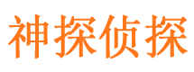 光山市侦探公司